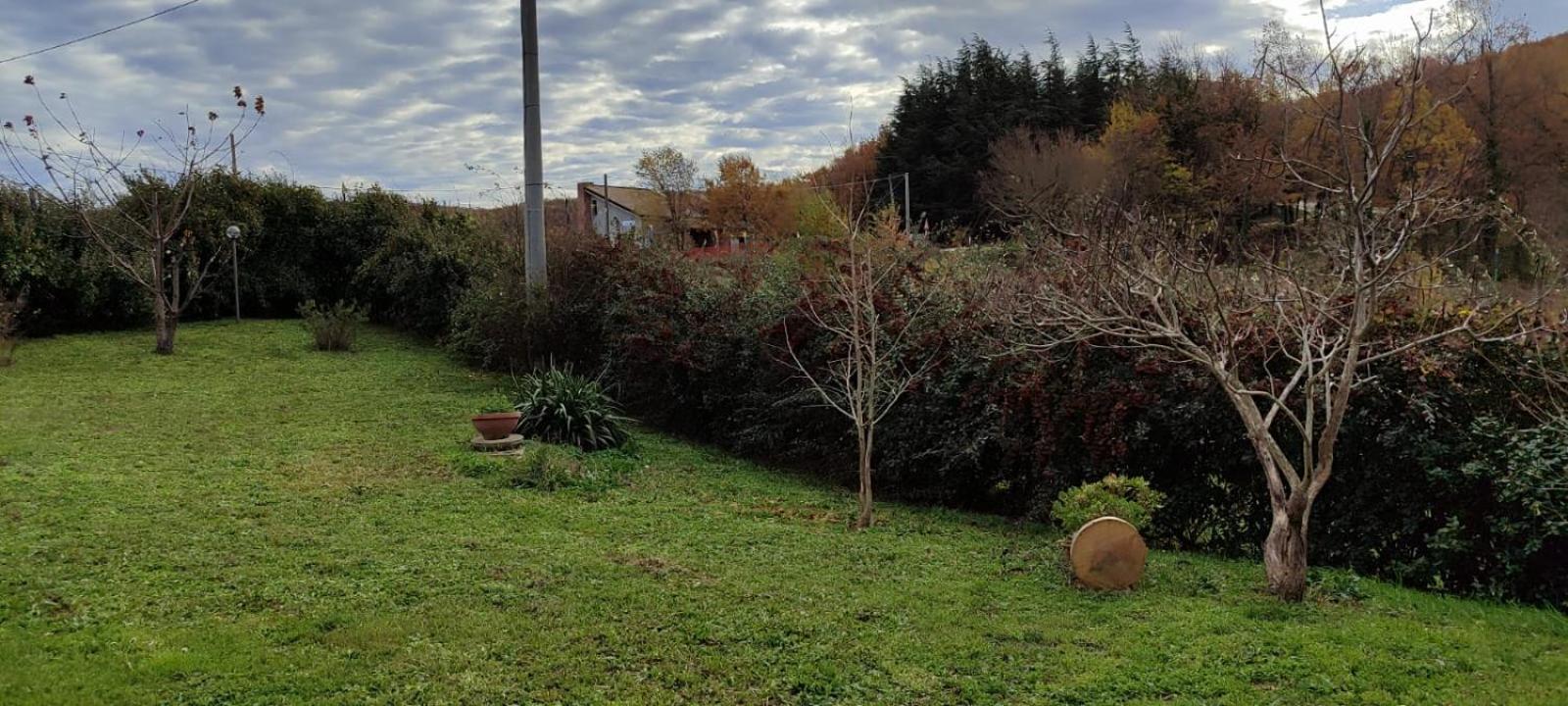 Pia'S House Garden Daire Campobasso Dış mekan fotoğraf