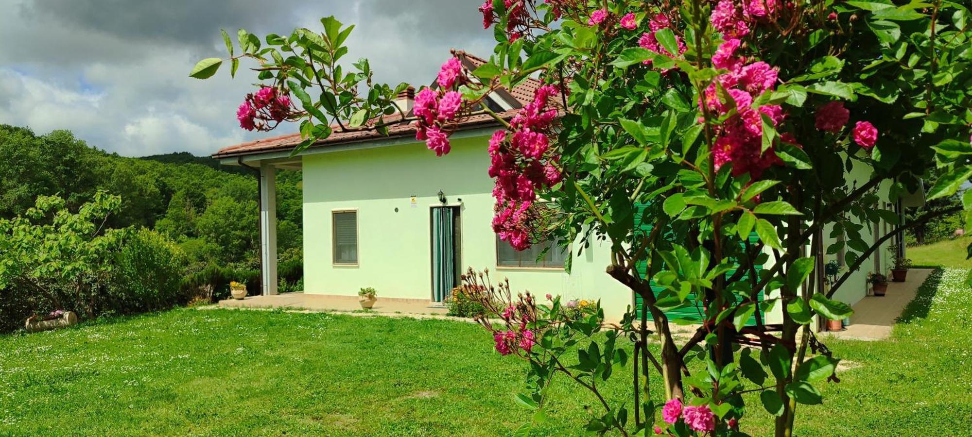 Pia'S House Garden Daire Campobasso Dış mekan fotoğraf